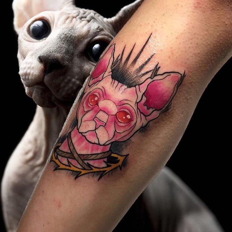 居先生小臂斯芬克斯猫纹身图案