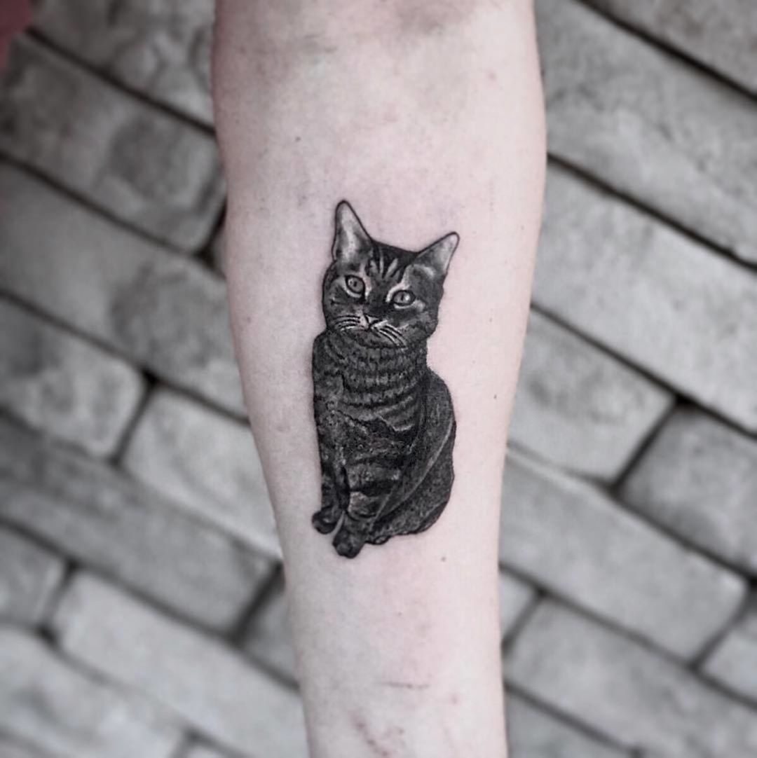 做基金经理助理的任先生小臂写实猫咪纹身图案