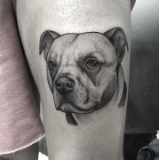 大腿狗狗肖像纹身图案