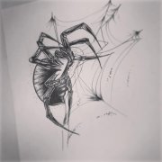 蜘蛛纹身手稿