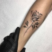 小臂黑灰玫瑰纹身图案