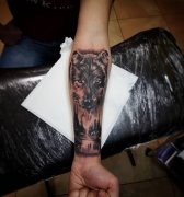 小臂黑灰森林系狼首纹身图案